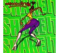 New York City DJ's - Shake It