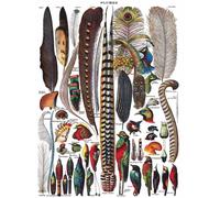 New York Puzzle Company FEATHERS - PLUMES