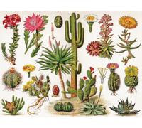 New York Puzzle Company - Puzzle Cactus - Cactus - 1000 Pezzi