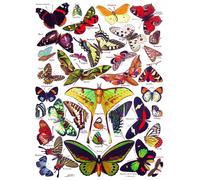 New York Puzzle Company - Puzzle Farfalle - Papillons - 1000 Pezzi