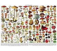 New York Puzzle Company - Puzzle Funghi - Champignons - 1000 Pezzi