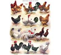 New York Puzzle Company - Puzzle Polli - Pollame - 500 Pezzi