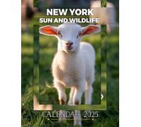 New York Sun and Wildlife Calendar 2025: Experience 365 Days of Vibrant Cityscapes and Nature, Perfect for Organizing Your Year