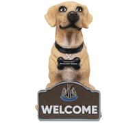 Newcastle United FCLabrador Gnomo da Giardino (TA9772)