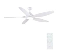Newday 153CM Grande Ventilatore da soffitto Bianco con Luce e Telecomando, Pala Soffitto Silenzioso con 5 Pale, Timer, Dimmer senza Passaggi, Motore DC Reversibile per Soggiorno, camera da letto