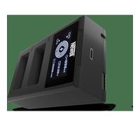 Newell Caricabatterie a doppio canale FDL-USB-C per batterie LP-E17