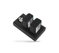 Newell Caricatore doppio DL-USB-C per NP-FW50