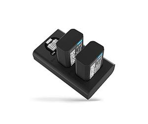 Newell Caricatore doppio DL-USB-C per NP-FW50