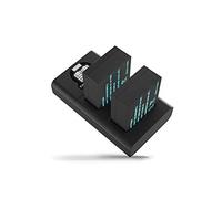 NEWELL - Kit caricabatterie doppio + 2 batterie LPE17