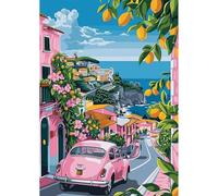 NEWENMO 5D Auto Rosa Diamond Painting per Adulti,Città Costiera Italiana Pittura Diamante Kit Completo,Bella Fiori Diamond Art Kits,Fai Da Te Diamant Painting Set,per Decorazione Casa 30x40cm