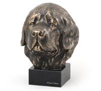 Newfoundland Testa Su Pietra Art-Dog