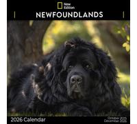 Newfoundlands Calendar 2026: A Year of Gentle and Loyal Newfoundland Dogs | Kalender Calendario Calendrier