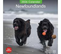 Newfoundlands Calendar 2026: A Year of Gentle and Loyal Newfoundland Dogs | Kalender Calendario Calendrier