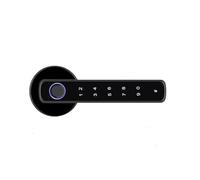 NEWFUN Serratura Smart, Serratura Smart Porta Blindata, Adatto per Porte Interne con Uno Spessore Compreso tra 35 e 55 Millimetri, Quattro Varianti di Apertura, Nero