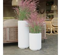 newgarden - Vaso rotondo Maranta molto resistente all'esterno, realizzato in polietilene in Spagna. (bianco, 30 x 70 cm)
