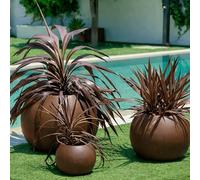 newgarden - Vaso rotondo per fiori e piante Dalia molto resistente all'esterno, dimensioni disponibili. Include la riserva di drenaggio dell'acqua. Realizzato in polietilene in Spagna