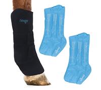 NEWGO Ghette refrigeranti per cavallo, ghiaccio cavallo, riutilizzabili, per lesioni, raffreddamento, cavallo, ginocchia, 1 benda con 2 lavagne di raffreddamento per stivali e zoccoli (1 pezzo)