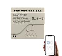 Newgoal Smart Switch a 4 canali, AC/DC 7-32V Relè WiFi momentaneo/a scatto, interruttore di controllo Bluetooth APP eWeLink, casa intelligente fai-da-te, compatibile con Alexa Google Home