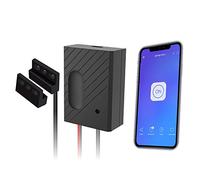 Newgoal WiFi Smart Home Garage Apriporta Telecomando vocale wireless con app eWelink, compatibile con Alexa, Google Home, Nest e IFTTT