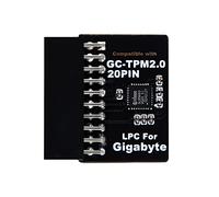 NewHail Modulo TPM2.0 LPC a 20 pin con Infineon SLB9665 per scheda madre Gigabyte compatibile con GC-TPM2.0