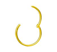 NewkeepsR Oro 0.6mmx5mm titanio incernierato segmento clicker anello senza cuciture del cerchio del naso, orecchino del trago della traversina della cartilagine per le donne