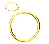 NewkeepsR Oro 1.0mmx8mm titanio incernierato segmento clicker anello senza cuciture del cerchio del naso, orecchino del trago della traversina della cartilagine per le donne