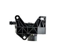 NEWPARTS Potenziometro Pedale Acceleratore Opel Combo C Corsa Tigra Nero 12V