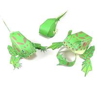 NewPath Learning Frog Life Cycle 3-D Model Making Kit, Set/5 modelli di carta a colori e guida per insegnanti (24-7723)
