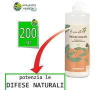 Newpharm RECID GELSIL 200 GR DIATOMEE insetticida naturale in polvere pronto uso