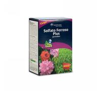 NEWPHARM Solfato Ferroso Plus: Rinverdente e Antimuschio per Prato