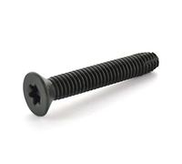 Newport Fasteners Viti da taglio a filo da pavimento 1/4-20 x 2 1/2 (quantità: 100 pz) tipo F Star Drive nero Phosh T-30 Drive acciaio legato