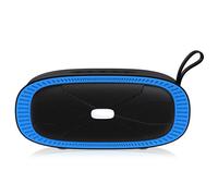 Newrixing NR-4022 TWS altoparlante Bluetooth a due colori con manico (blu)