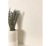 Newroom Tapete Grau Vlies Unifarbe - Modern Einfarbig Textilstruktur Leinen-Optik für Wohnzimmer Schlafzimmer