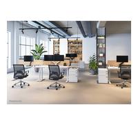 NEWSTAR Montaggio da scrivania NM-D750BLACK - Per Schermo Piatto - Nero