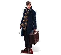 Newt Scamander Fantastic Beasts E Dove Trovarli Cartonato Redmayne