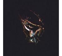 Newton, Rachel - Here's My Heart Come Take It