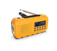 NEWTRO Ruota a manovella multifunzione DAB+/DAB/FM - Multifunzionale radio digitale con torcia elettrica, luce leggera, pannello solare, power bank, manovella, allarme SOS