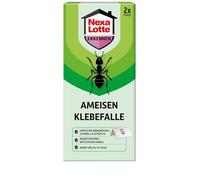 Nexa Lotte Trappola adesiva per formiche, 2 pezzi, efficace contro le formiche con vero miele, durata d'azione, 45 giorni, verde