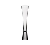 NexaGeniX Bicchieri da acqua Bicchieri da champagne ultra lunghi 5 once, moderni ed eleganti bicchieri spumante in cristallo senza piombo Bicchieri per bevande(Transparent)