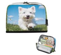 Nexawaveo Astuccio portapenne di grande capacità, 21,1 x 15 cm, con simpatico cane in erba verde, per scuola, ufficio, viaggi
