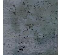Nexciya Endless Path Of Memory - Nexcyia (Vinile)