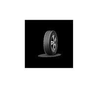 Nexen WT1 225/70 R15 112R auto Pneumatici invernali Pneumatici FIAT: Ducato III Van, Ducato III Camion pianale / Telaio, Ducato III Bus 14385