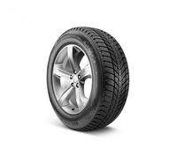 Nexen Winguard Ice Plus (195/55 R15 89T)