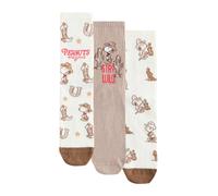 Next Calzino beige / écru / marrone / rosso Donna - Abbigliamento - Intimo - Calzini e calze Next 36-41