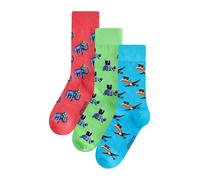 Next Calzino blu chiaro / verde chiaro / rosso / nero Uomo - Abbigliamento - Intimo - Calzini Next 39-42,5