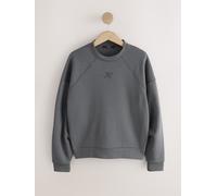 Next Felpa con logo Girocollo large Grigio