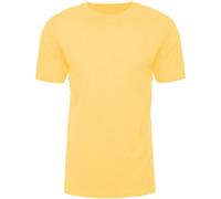 Next Level Apparel Maglietta Adulto Unisex (AB665)