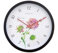 NEXTIME Knautia