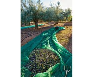 nextradeitalia 1ROTOLO C Rete P/Olive ANTISPINA 80G 5X50M MOD.FERX.ANWWXA