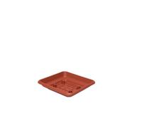 nextradeitalia 6PZ SOTTOVASO Quadro Laurus 25CM Terracotta